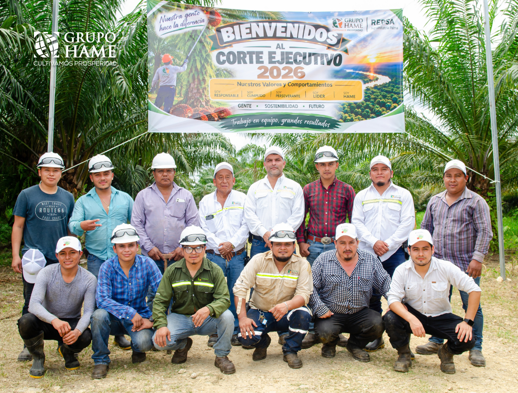 Corte ejecutivo REPSA 2026