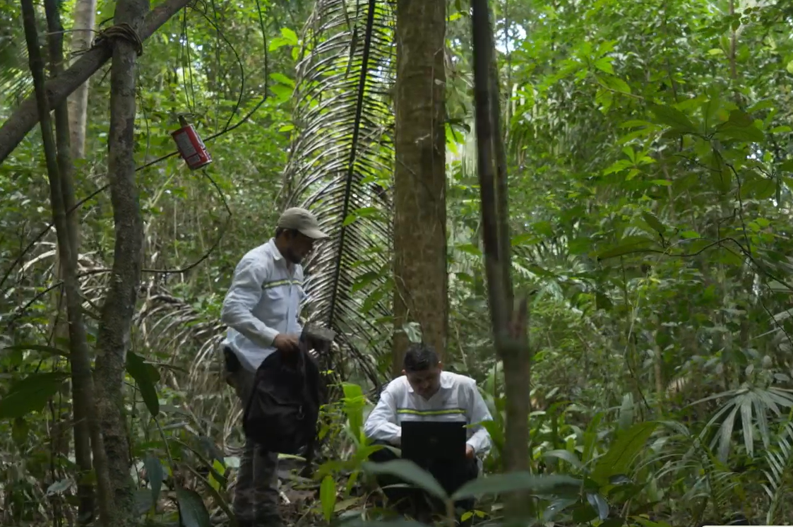 camara-trampa-biodiversidad-grupo-hame-3-e1684339269144