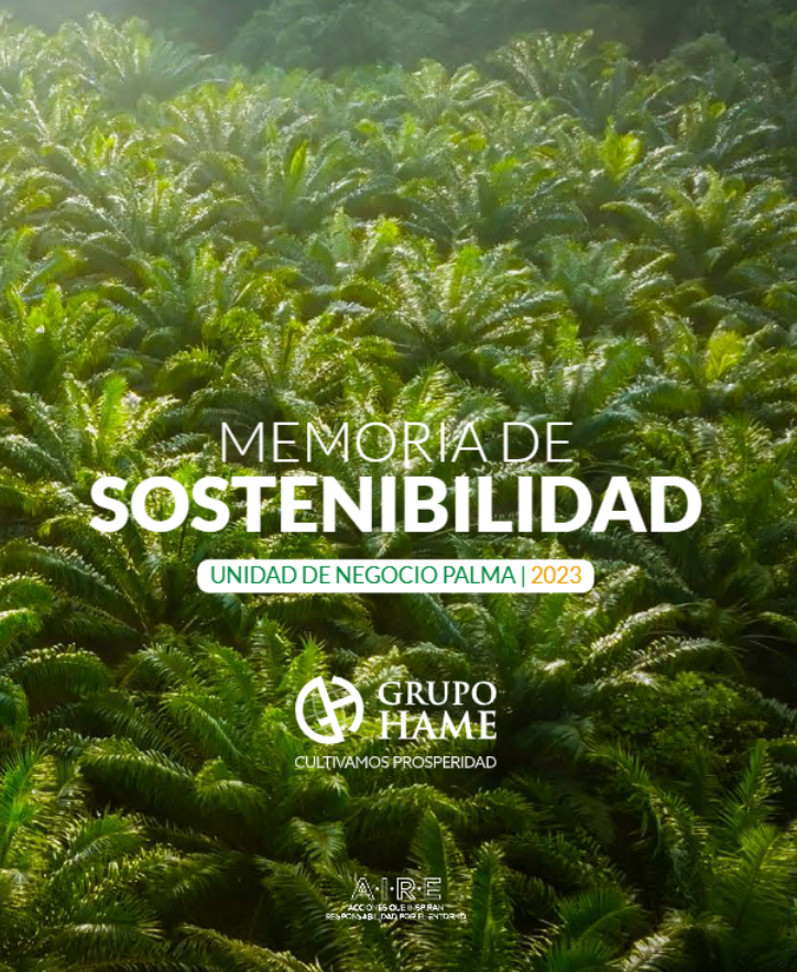 Imagen sobre Informe de Sostenibilidad